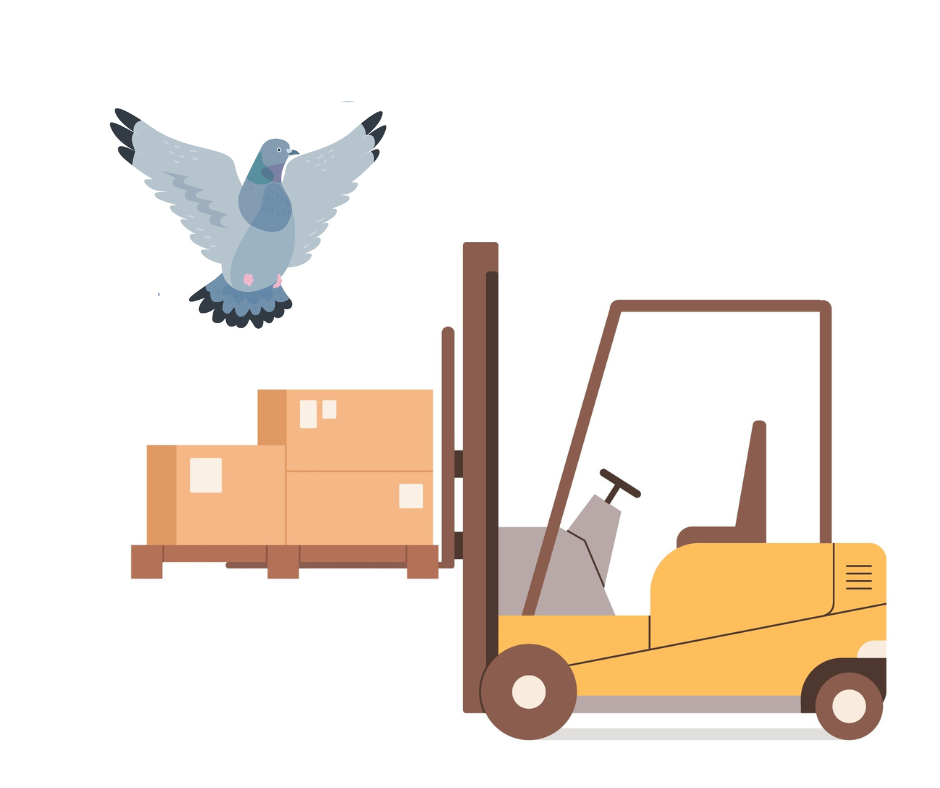 A bird landing on warehouse equipment